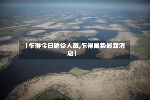 【乍得今日确诊人数,乍得局势最新消息】-第3张图片