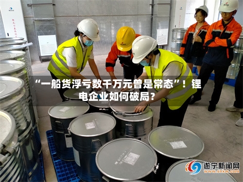 “一船货浮亏数千万元曾是常态	”！锂电企业如何破局？-第2张图片