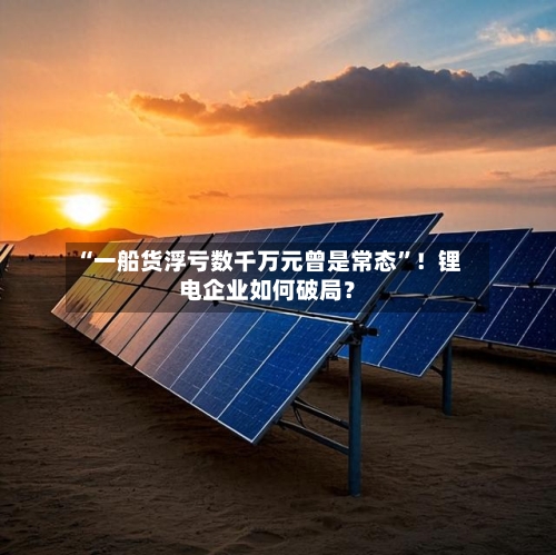 “一船货浮亏数千万元曾是常态”！锂电企业如何破局？-第3张图片