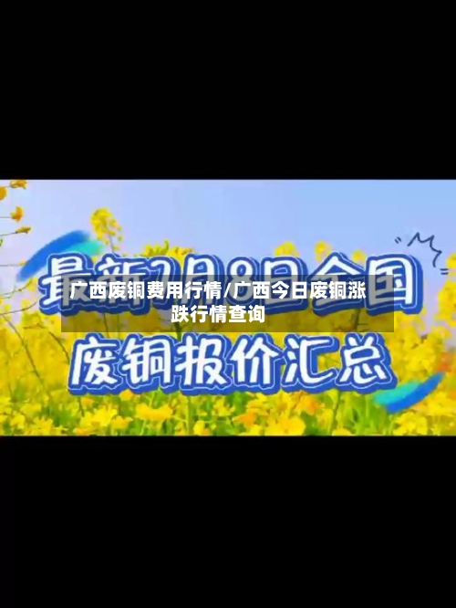 广西废铜费用行情/广西今日废铜涨跌行情查询