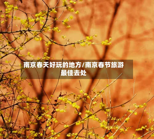 南京春天好玩的地方/南京春节旅游最佳去处-第2张图片