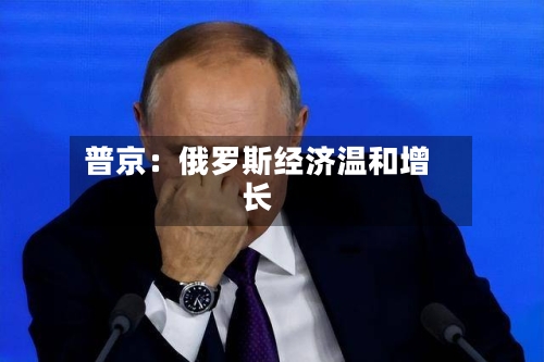 普京：俄罗斯经济温和增长