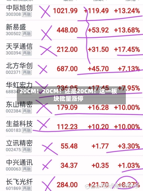 20CM!20CM!还是20CM!这一板块批量涨停-第3张图片
