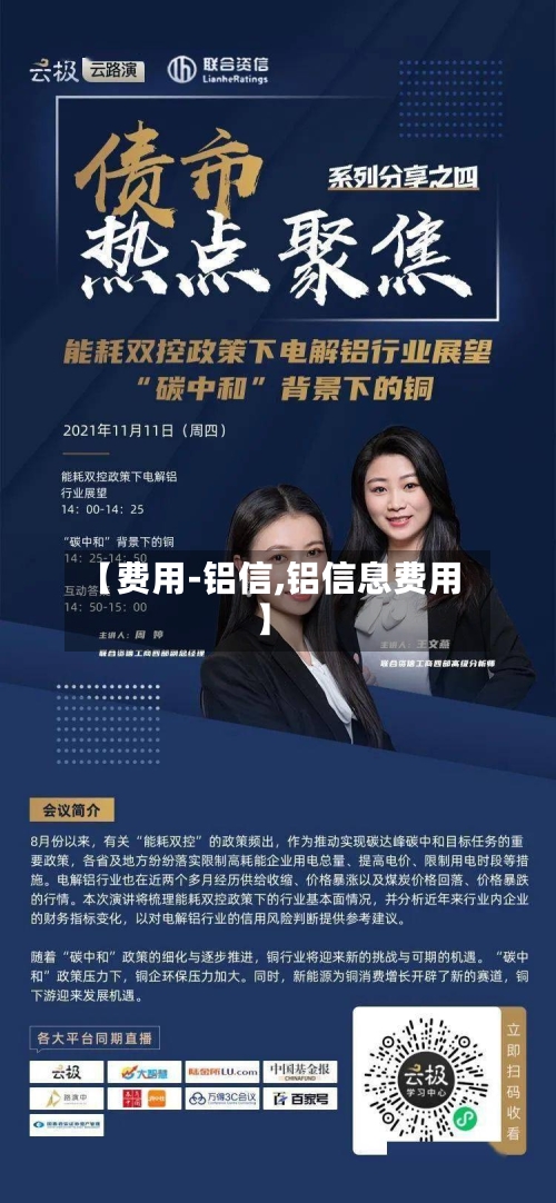 【费用-铝信,铝信息费用】