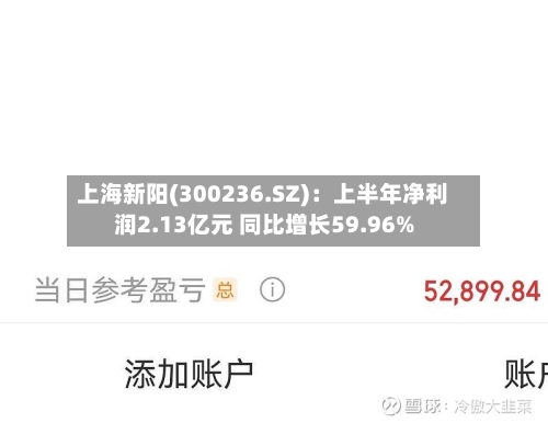 上海新阳(300236.SZ)：上半年净利润2.13亿元 同比增长59.96%