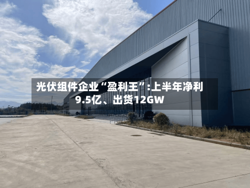 光伏组件企业“盈利王”:上半年净利9.5亿、出货12GW