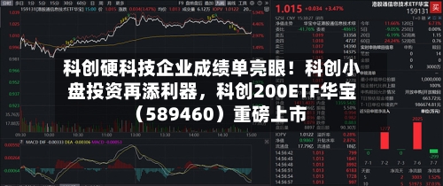 科创硬科技企业成绩单亮眼！科创小盘投资再添利器，科创200ETF华宝（589460）重磅上市-第2张图片