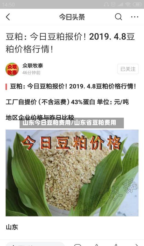 山东今日豆粕费用/山东省豆粕费用