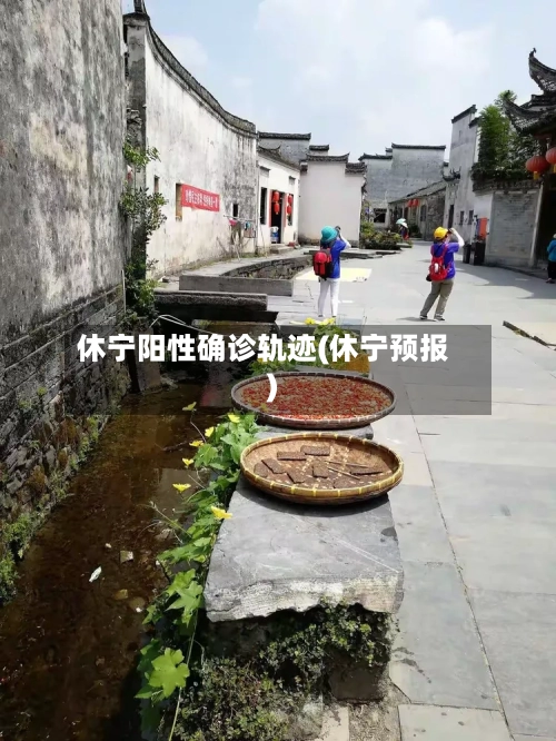 休宁阳性确诊轨迹(休宁预报)-第2张图片