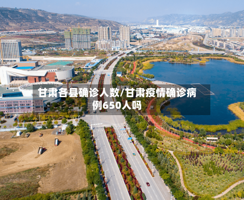 甘肃各县确诊人数/甘肃疫情确诊病例650人吗