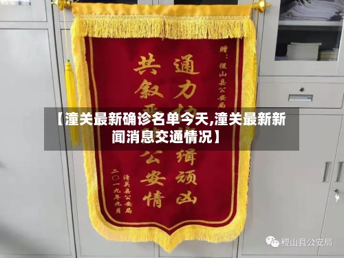 【潼关最新确诊名单今天,潼关最新新闻消息交通情况】-第2张图片