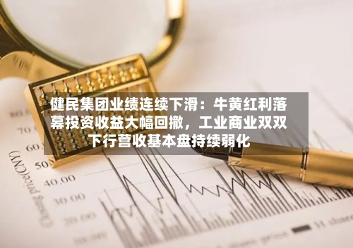 健民集团业绩连续下滑：牛黄红利落幕投资收益大幅回撤，工业商业双双下行营收基本盘持续弱化-第3张图片