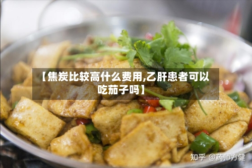【焦炭比较高什么费用,乙肝患者可以吃茄子吗】