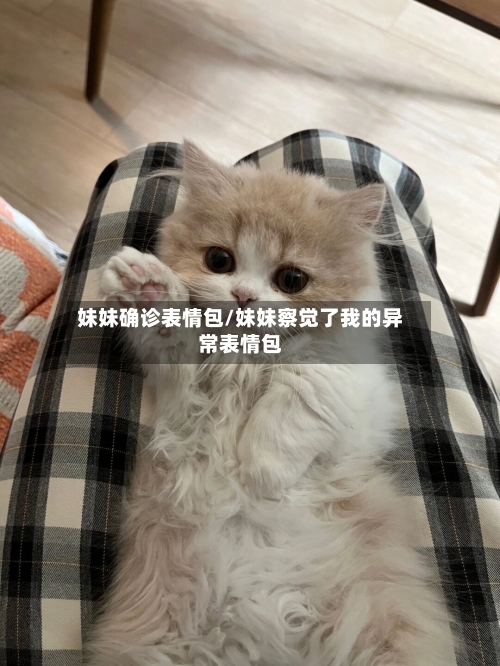 妹妹确诊表情包/妹妹察觉了我的异常表情包
