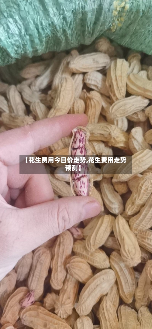 【花生费用今日价走势,花生费用走势预测】
