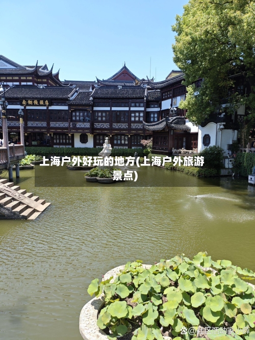 上海户外好玩的地方(上海户外旅游景点)-第2张图片