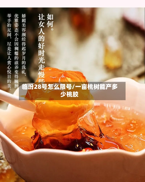 临汾28号怎么限号/一亩桃树能产多少桃胶
