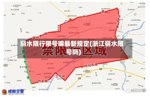 丽水限行限号嘛最新规定(浙江丽水限号吗)