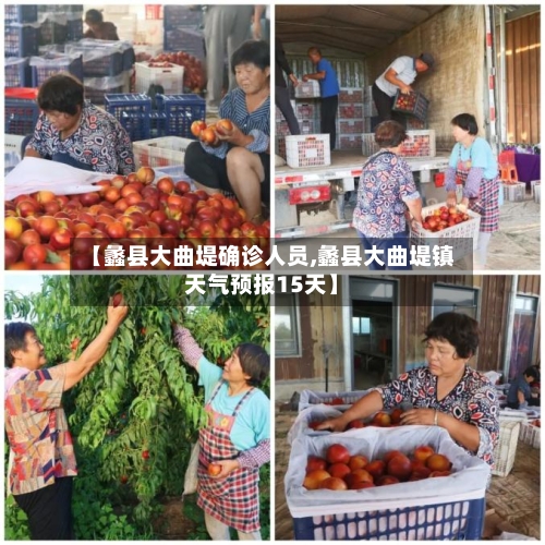 【蠡县大曲堤确诊人员,蠡县大曲堤镇天气预报15天】-第2张图片