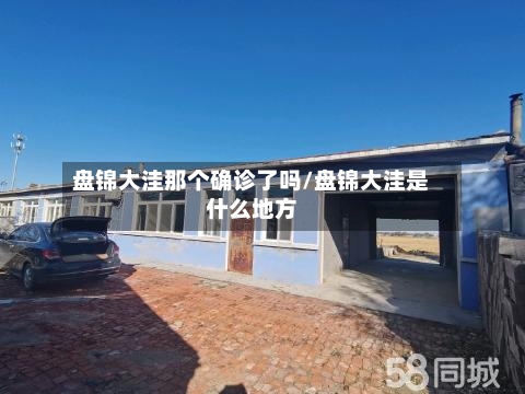 盘锦大洼那个确诊了吗/盘锦大洼是什么地方-第3张图片