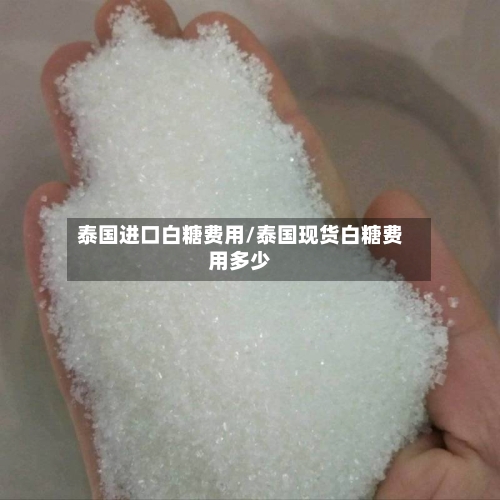 泰国进口白糖费用/泰国现货白糖费用多少