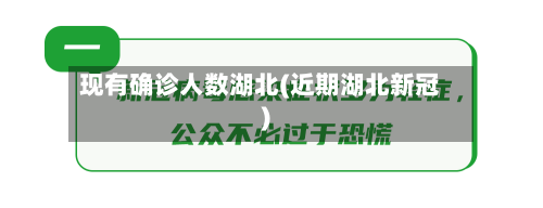 现有确诊人数湖北(近期湖北新冠)-第2张图片