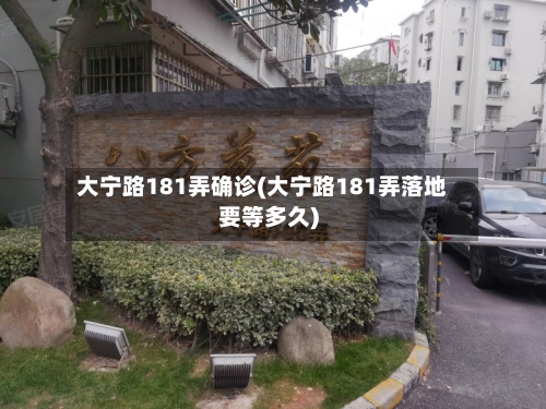 大宁路181弄确诊(大宁路181弄落地要等多久)-第2张图片