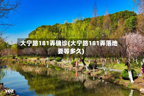 大宁路181弄确诊(大宁路181弄落地要等多久)-第3张图片