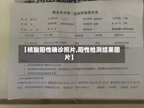【核酸阳性确诊照片,阳性检测结果图片】