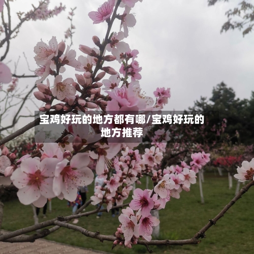 宝鸡好玩的地方都有哪/宝鸡好玩的地方推荐-第2张图片