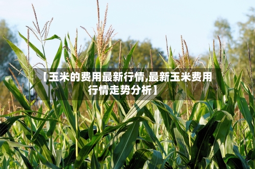 【玉米的费用最新行情,最新玉米费用行情走势分析】-第2张图片