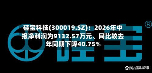硅宝科技(300019.SZ)：2026年中报净利润为9132.57万元、同比较去年同期下降40.75%-第2张图片