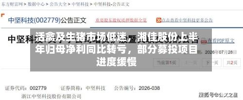 活禽及生猪市场低迷	，湘佳股份上半年归母净利同比转亏，部分募投项目进度缓慢-第2张图片