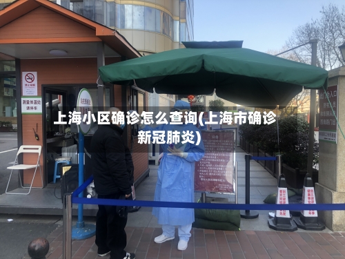 上海小区确诊怎么查询(上海市确诊新冠肺炎)-第3张图片
