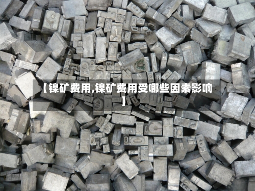 【镍矿费用,镍矿费用受哪些因素影响】