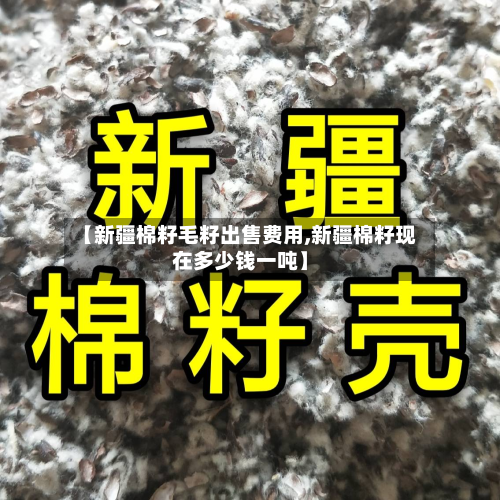 【新疆棉籽毛籽出售费用,新疆棉籽现在多少钱一吨】