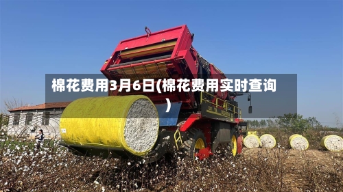 棉花费用3月6日(棉花费用实时查询)