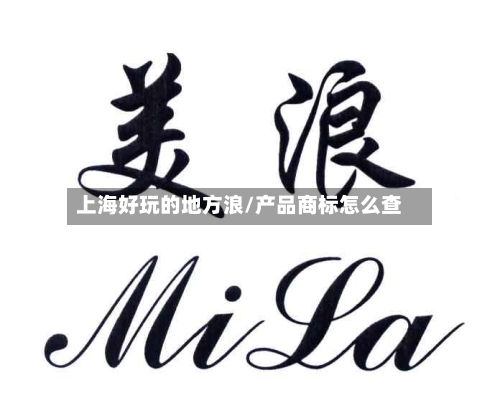 上海好玩的地方浪/产品商标怎么查-第2张图片