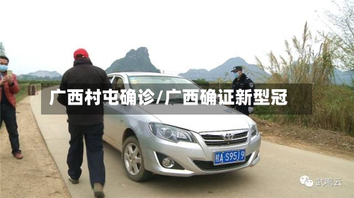 广西村屯确诊/广西确证新型冠-第2张图片