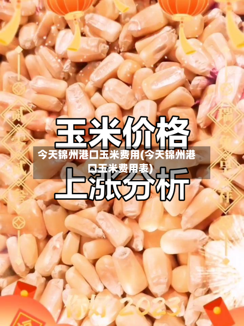 今天锦州港口玉米费用(今天锦州港口玉米费用表)-第3张图片