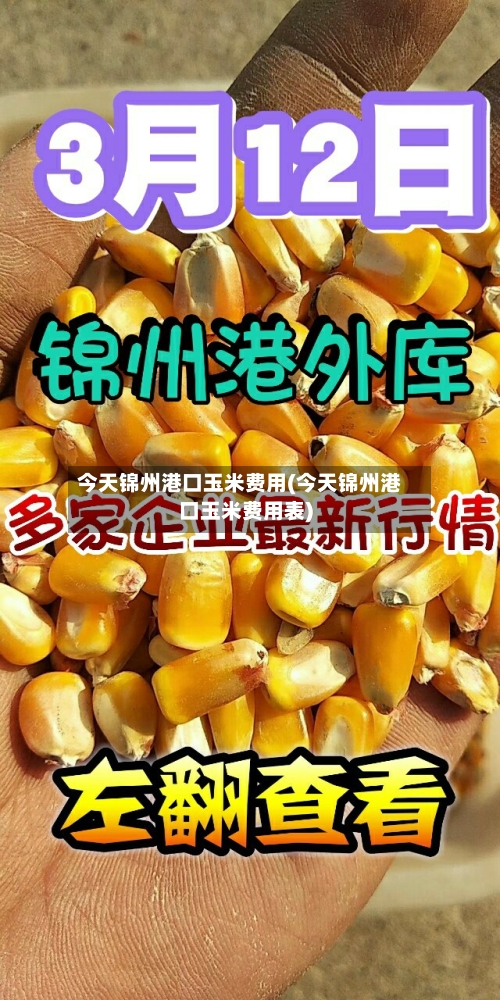 今天锦州港口玉米费用(今天锦州港口玉米费用表)-第2张图片