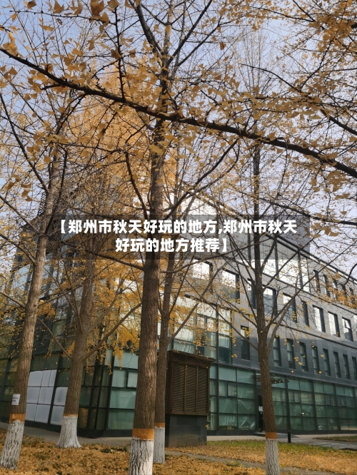 【郑州市秋天好玩的地方,郑州市秋天好玩的地方推荐】