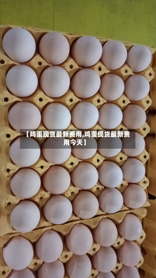 【鸡蛋现货最新费用,鸡蛋现货最新费用今天】