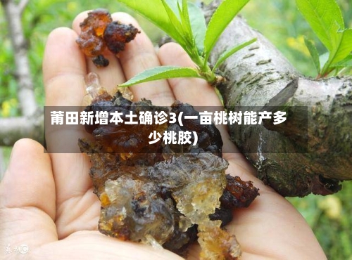 莆田新增本土确诊3(一亩桃树能产多少桃胶)