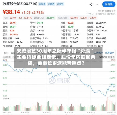 宋城演艺30周年之际半年报“垮塌”，主要指标全线走低，股价年内跌逾两成，董事长更迭能否翻盘？