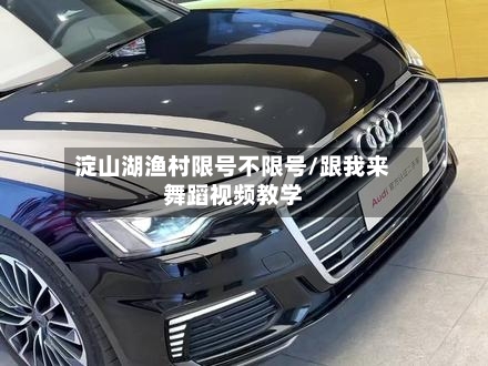 淀山湖渔村限号不限号/跟我来舞蹈视频教学