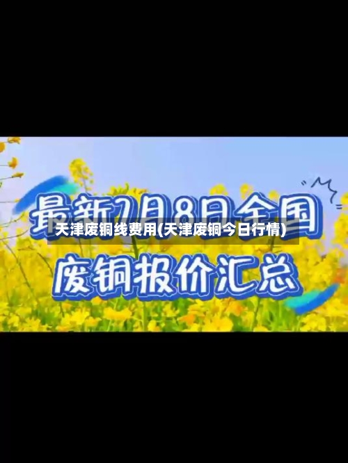 天津废铜线费用(天津废铜今日行情)