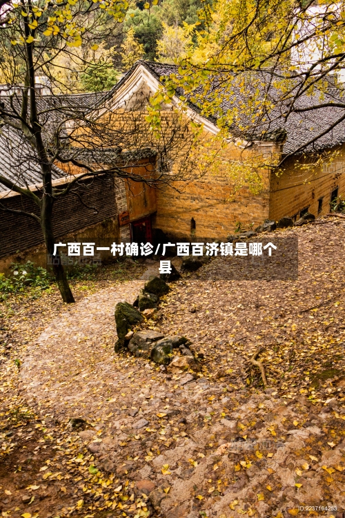 广西百一村确诊/广西百济镇是哪个县