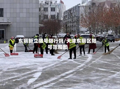东丽新立限号限行吗/天津东丽区限号范围图-第3张图片