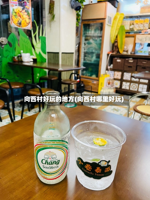 向西村好玩的地方(向西村哪里好玩)-第2张图片